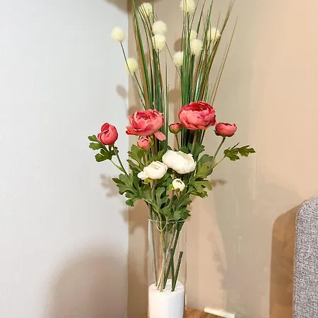 S2 Premium * Белград