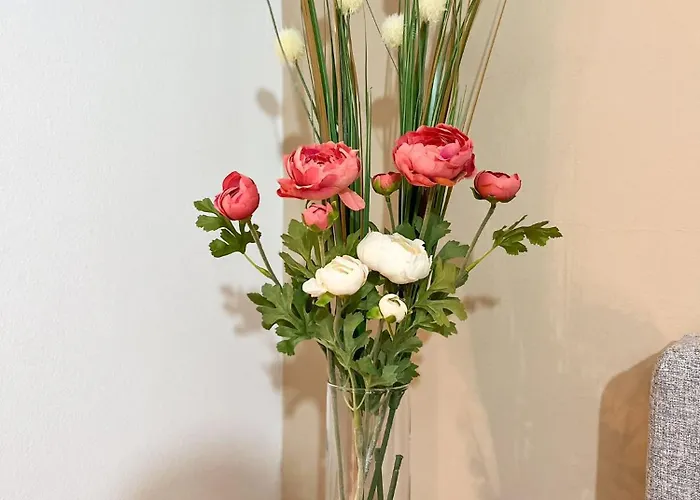 S2 Premium * ベオグラード